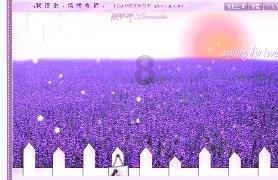 hahabet官网官方入口